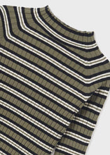 Load image into Gallery viewer, Olive Stripe Ribbed Long Sleeve
