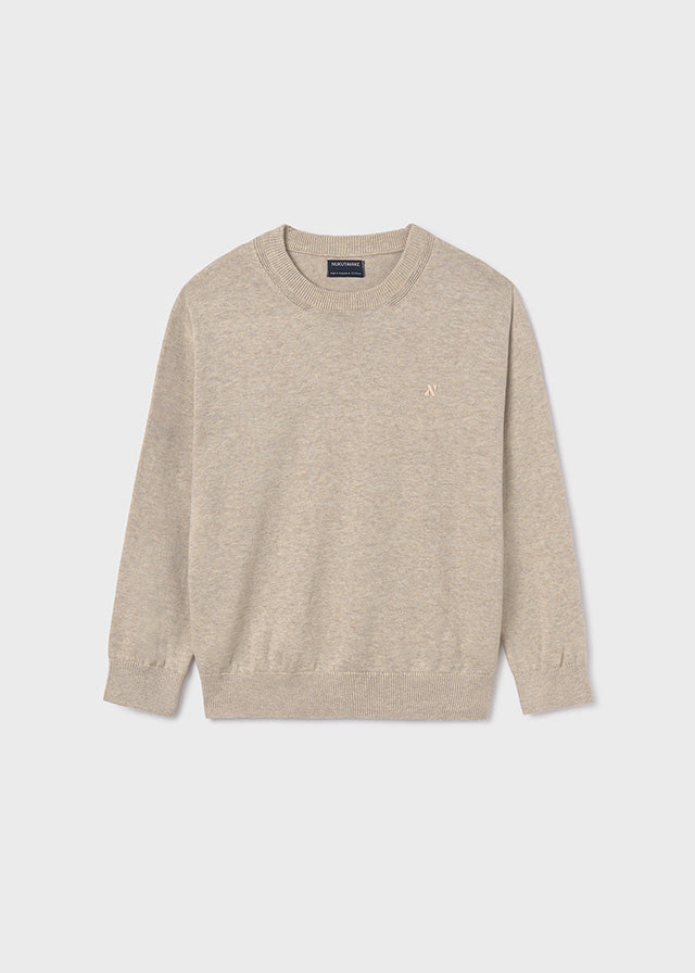 Boys Beige Pullover Sweater