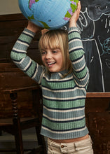 Load image into Gallery viewer, Sage Striped Mock Neck Knit Sweater
