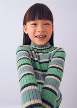 Load image into Gallery viewer, Sage Striped Mock Neck Knit Sweater

