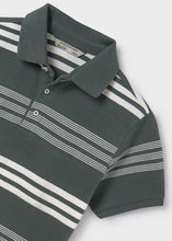 Load image into Gallery viewer, Dusty Sage Stripes Polo Top
