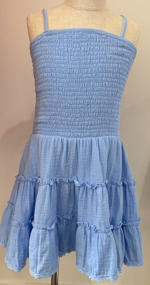 Blue Linen Smocked Dress