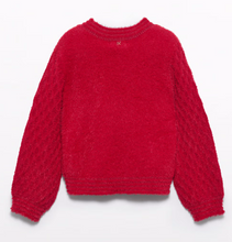 Load image into Gallery viewer, Fuzzy Christmas Red Sweater
