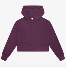 Load image into Gallery viewer, Hacci Rib Box Hoodie Pullover In Fig

