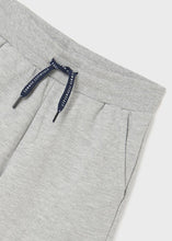 Load image into Gallery viewer, Cement Basic Fleece Shorts
