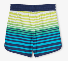 Load image into Gallery viewer, Cool Stripes Swim Trunks
