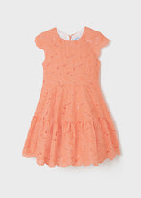 Load image into Gallery viewer, Coral Eyelet Dress
